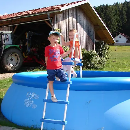 Bauernhof In Spandlberg Am Hohe Bogen *