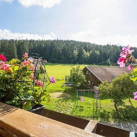 Bauernhof In Spandlberg Am Hohe Bogen *