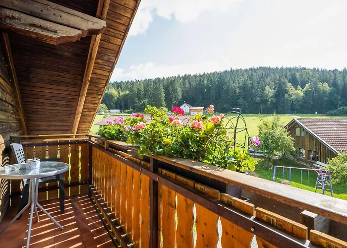 Bauernhof In Spandlberg Am Hohe Bogen * Neukirchen beim Heiligen Blut