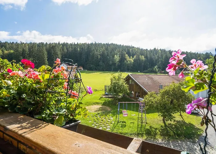 Bauernhof In Spandlberg Am Hohe Bogen *