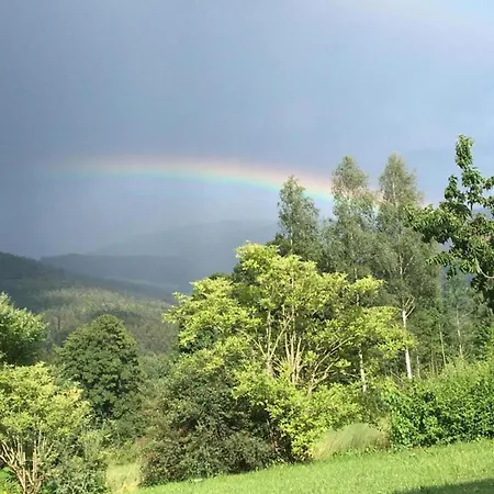 Bauernhof In Spandlberg Am Hohe Bogen Semesterbostad Neukirchen beim Heiligen Blut