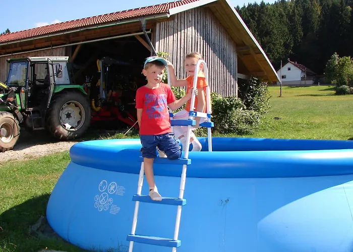 Bauernhof In Spandlberg Am Hohe Bogen *